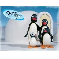 Pingu